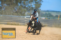 BraidwoodCampdraft2021_3784