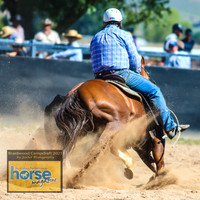 BraidwoodCampdraft2021_3747