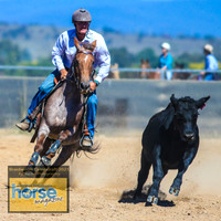 BraidwoodCampdraft2021_3701