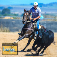 BraidwoodCampdraft2021_3829