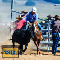 BraidwoodCampdraft2021_3769