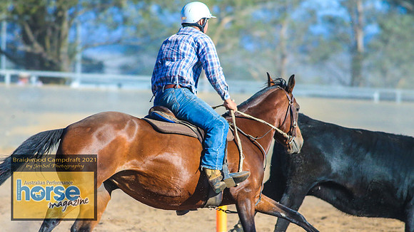 BraidwoodCampdraft2021_4549