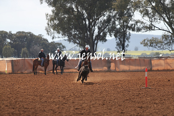 IllaboSun_0084