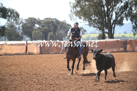 IllaboSun_0155