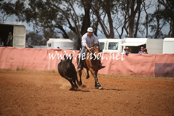 IllaboSun_0217
