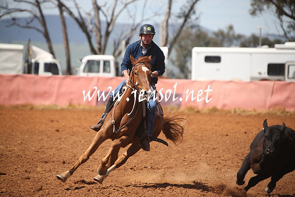 IllaboSun_0313