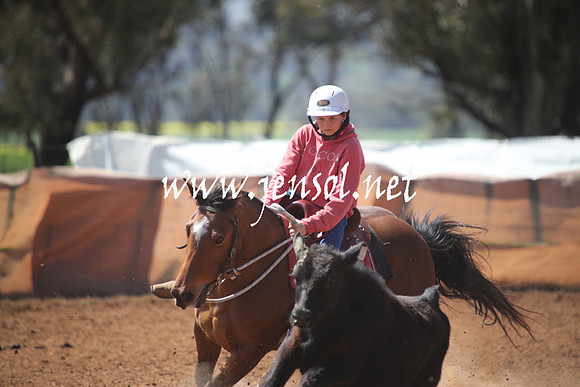 IllaboSun_0302