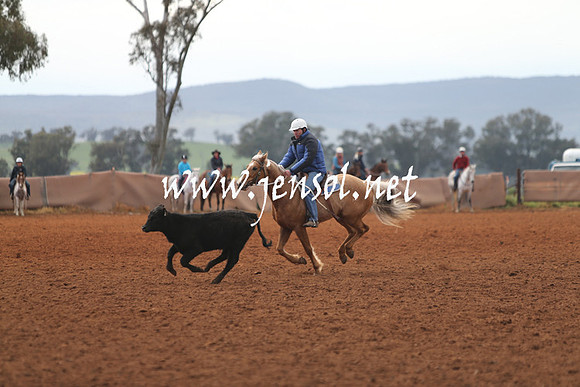 IllaboSun_0015