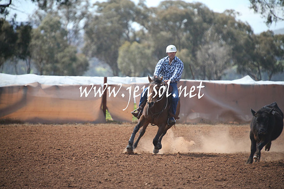 IllaboSun_0254