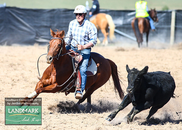 GoulburnCampdraft2019_0416