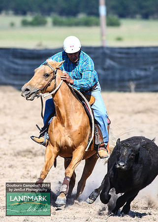 GoulburnCampdraft2019_0443
