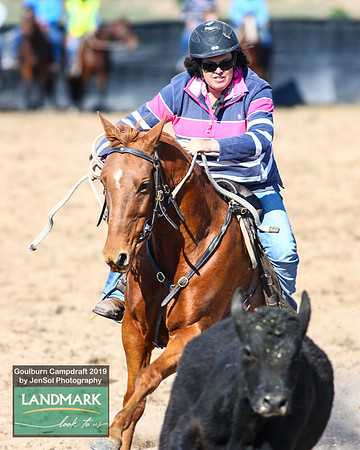 GoulburnCampdraft2019_0353