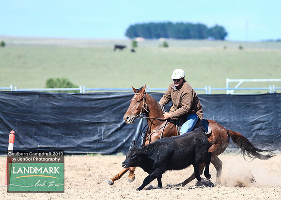 GoulburnCampdraft2019_0494