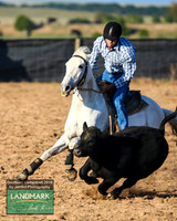 GoulburnCampdraft2019_0088