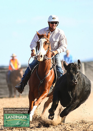 GoulburnCampdraft2019_2073
