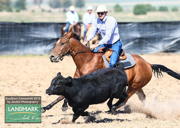 GoulburnCampdraft2019_0434