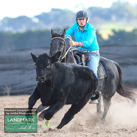 GoulburnCampdraft2019_2015