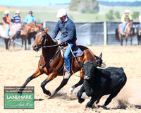 GoulburnCampdraft2019_0306