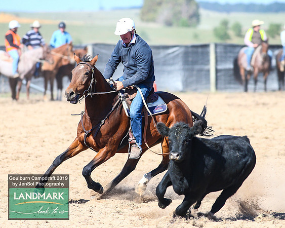 GoulburnCampdraft2019_0306