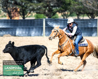 GoulburnCampdraft2019_0294