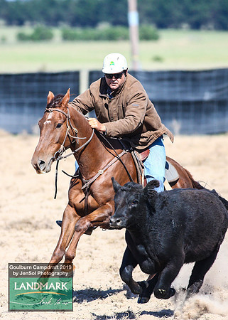 GoulburnCampdraft2019_0468