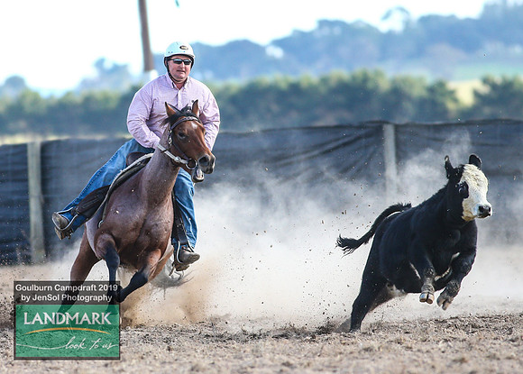 GoulburnCampdraft2019_2045