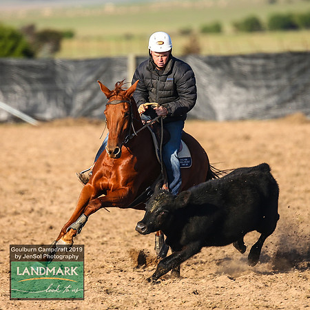 GoulburnCampdraft2019_0063