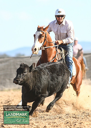 GoulburnCampdraft2019_2065