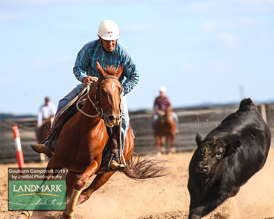 GoulburnCampdraft2019_1885