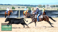 GoulburnCampdraft2019_0314