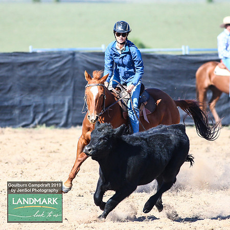 GoulburnCampdraft2019_0345