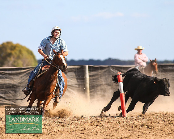 GoulburnCampdraft2019_1908