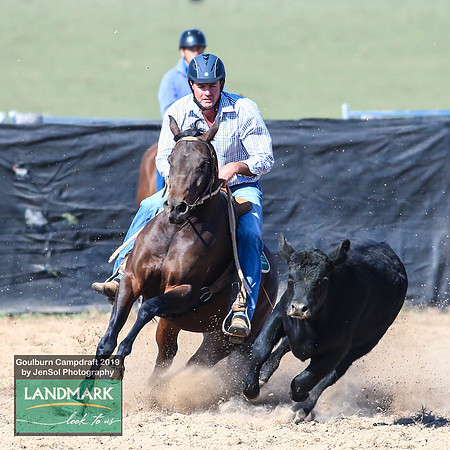 GoulburnCampdraft2019_0403