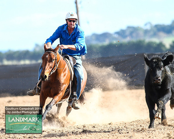 GoulburnCampdraft2019_1866