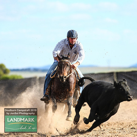 GoulburnCampdraft2019_1925