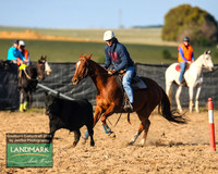GoulburnCampdraft2019_0154
