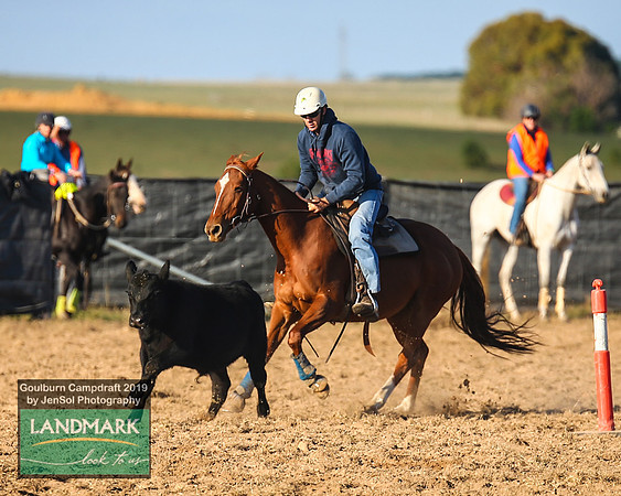 GoulburnCampdraft2019_0154