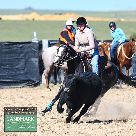 GoulburnCampdraft2019_0329