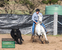 GoulburnCampdraft2019_0099