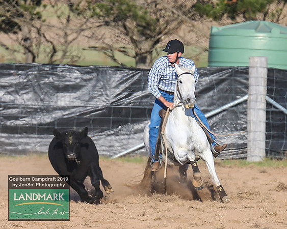 GoulburnCampdraft2019_0099