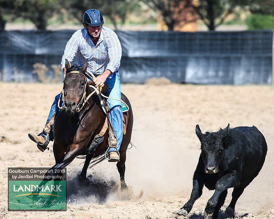 GoulburnCampdraft2019_0391
