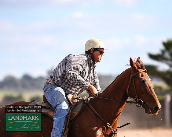 GoulburnCampdraft2019_1871