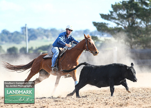 GoulburnCampdraft2019_1932