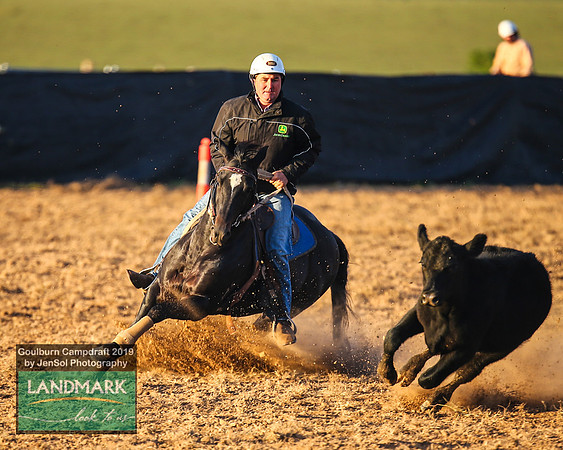 GoulburnCampdraft2019_0034