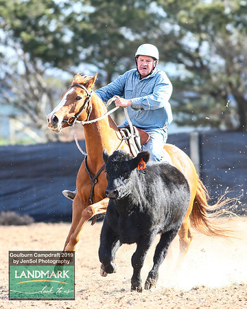GoulburnCampdraft2019_1936