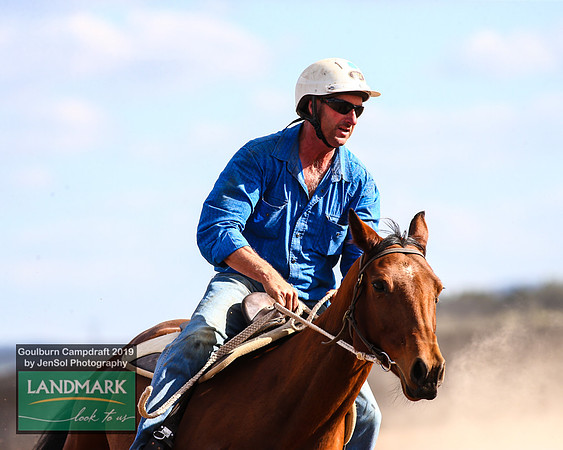 GoulburnCampdraft2019_1869