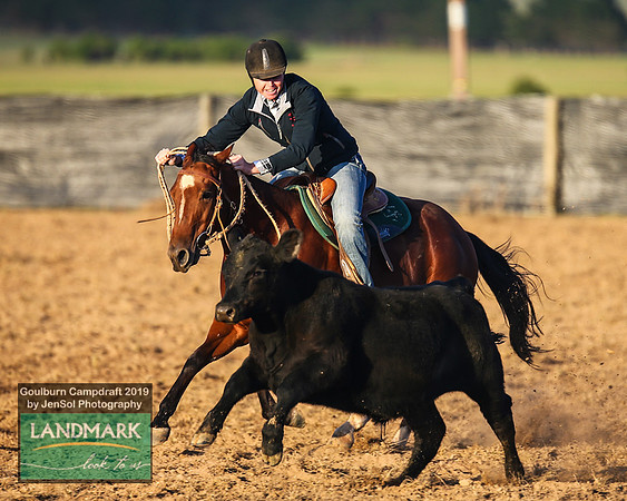 GoulburnCampdraft2019_0051