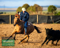 GoulburnCampdraft2019_0047