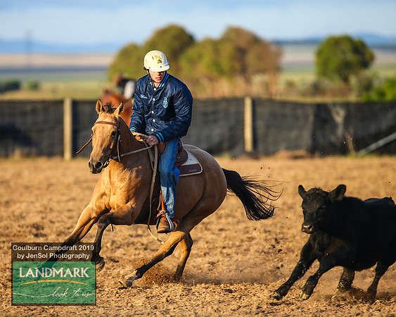 GoulburnCampdraft2019_0047