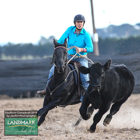 GoulburnCampdraft2019_2016